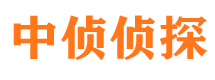 德保外遇调查取证